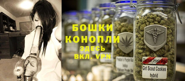 шишки Покров