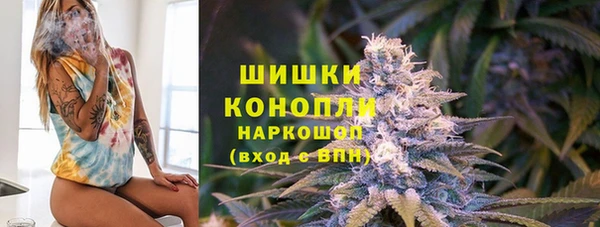 шишки Покров