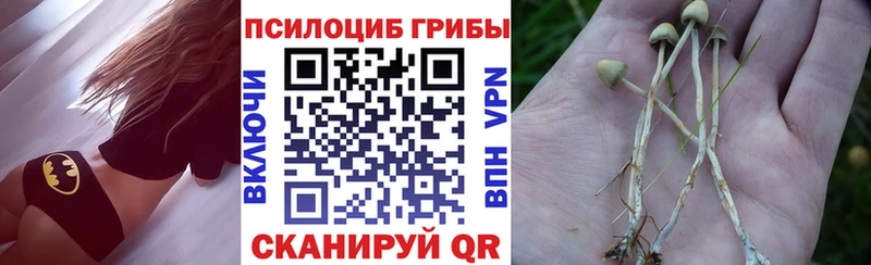Галлюциногенные грибы мухоморы  Лебедянь 